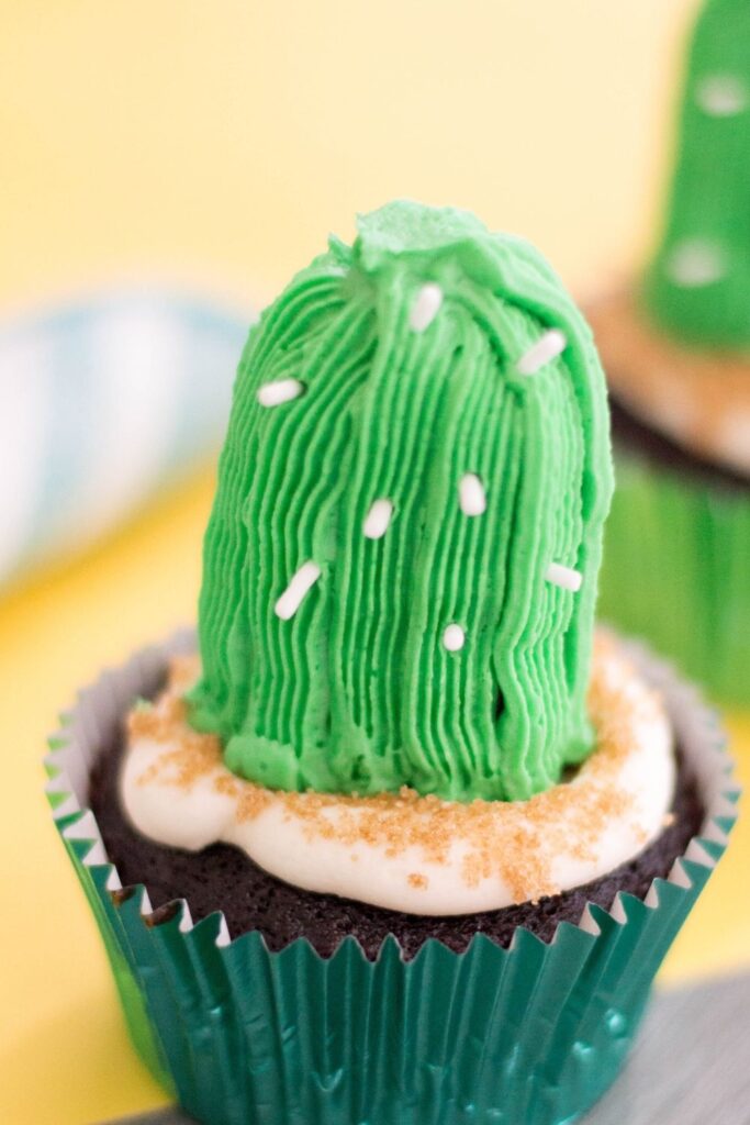 Cactus cupcake on counter 