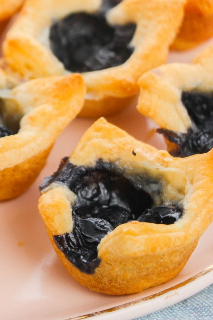 side view of brie appetizer with crescent rolls on plate 