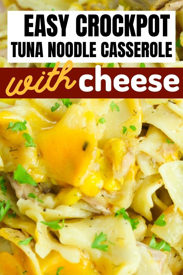 crockpot tuna noodle casserole close up on plate