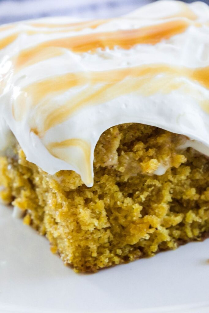 moist pumpkin cake sliced on plate