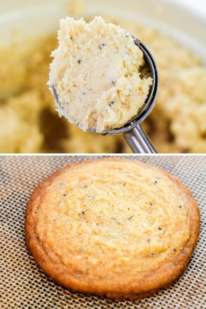 poppy seed cookie dough in a scoop and cookie on tray