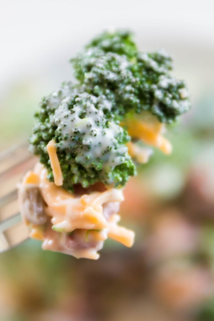   broccoli salad on fork 