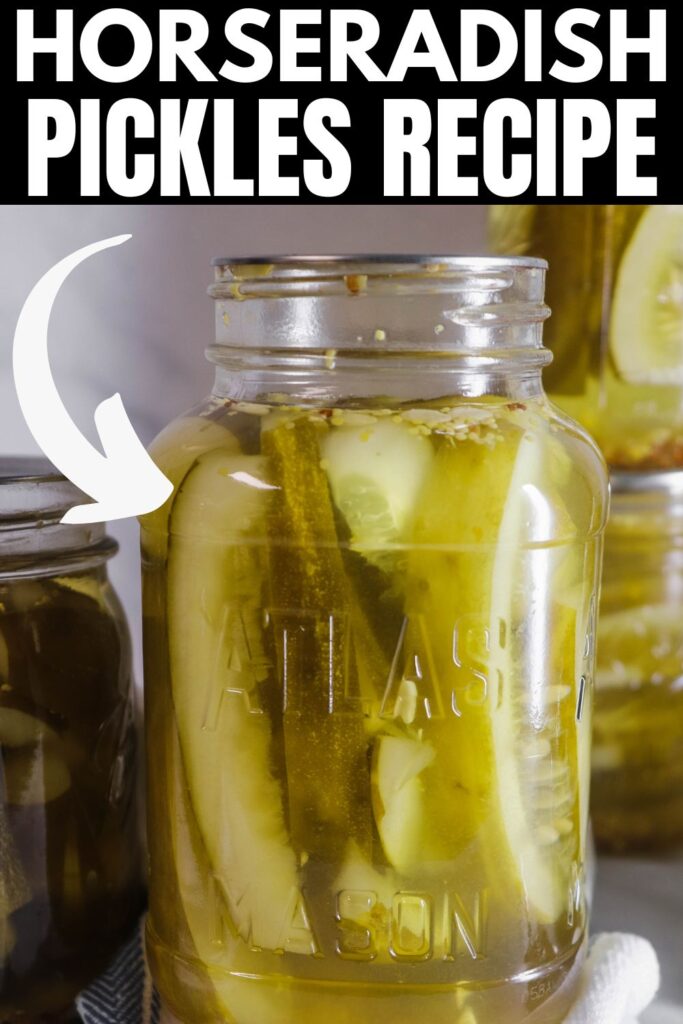 horseradish pickles