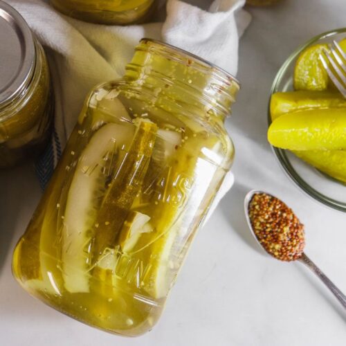 Horseradish Pickles Recipe (Canning Process) Bake Me Some Sugar