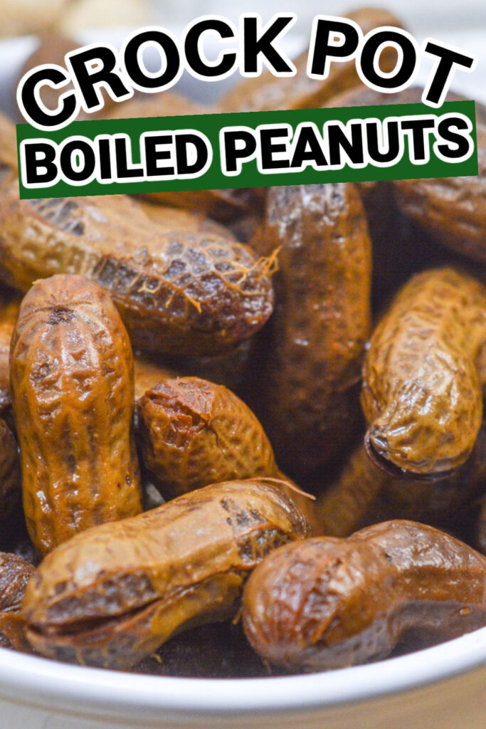 Crock pot boiled peanuts