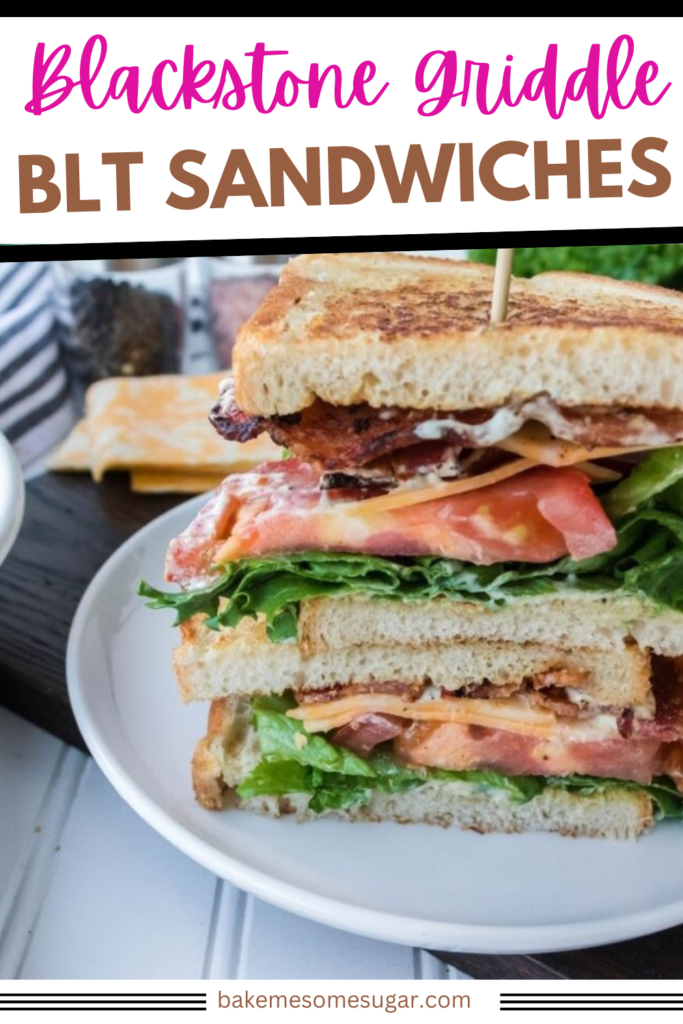 image of blackstone sandwich on plate